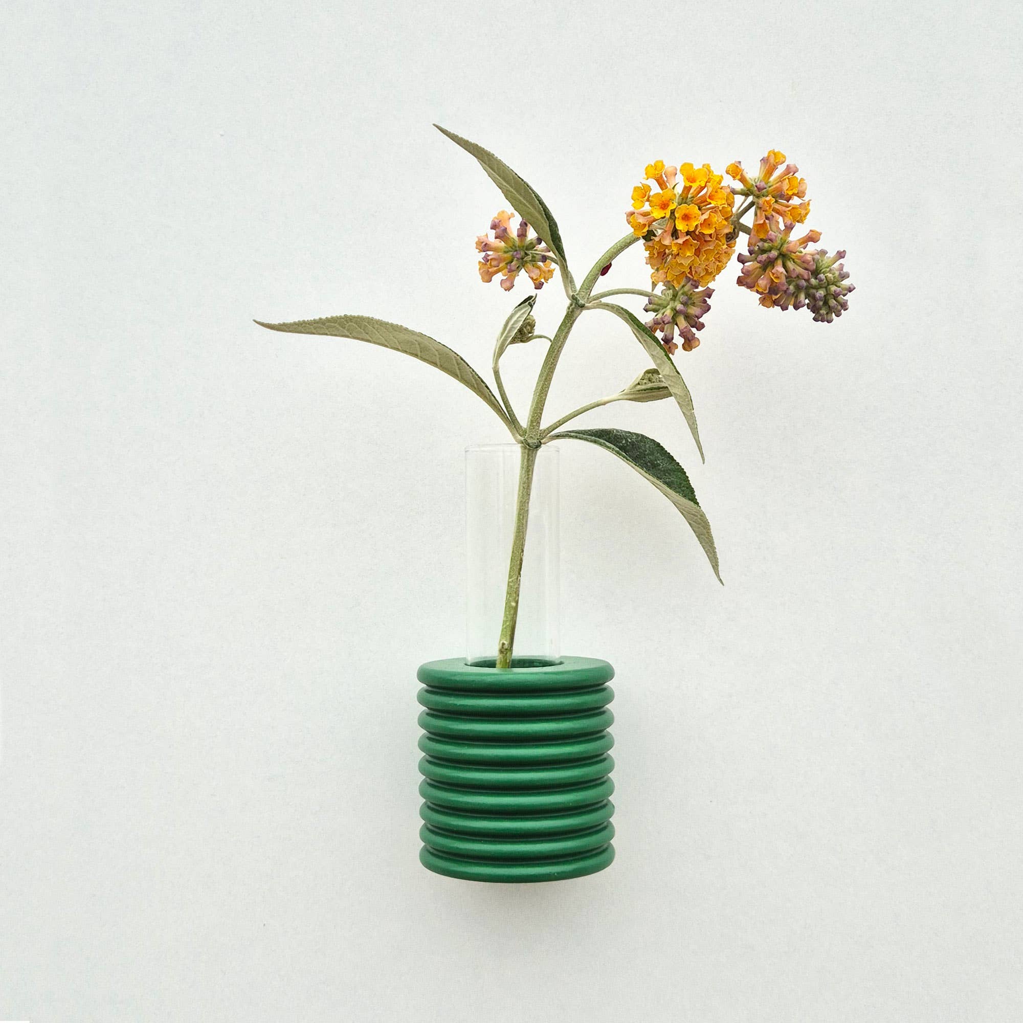 Ribble Wall Vase | Green