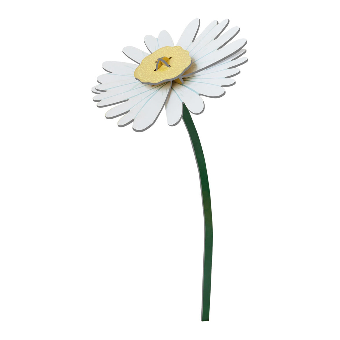 3D Flower | Daisy