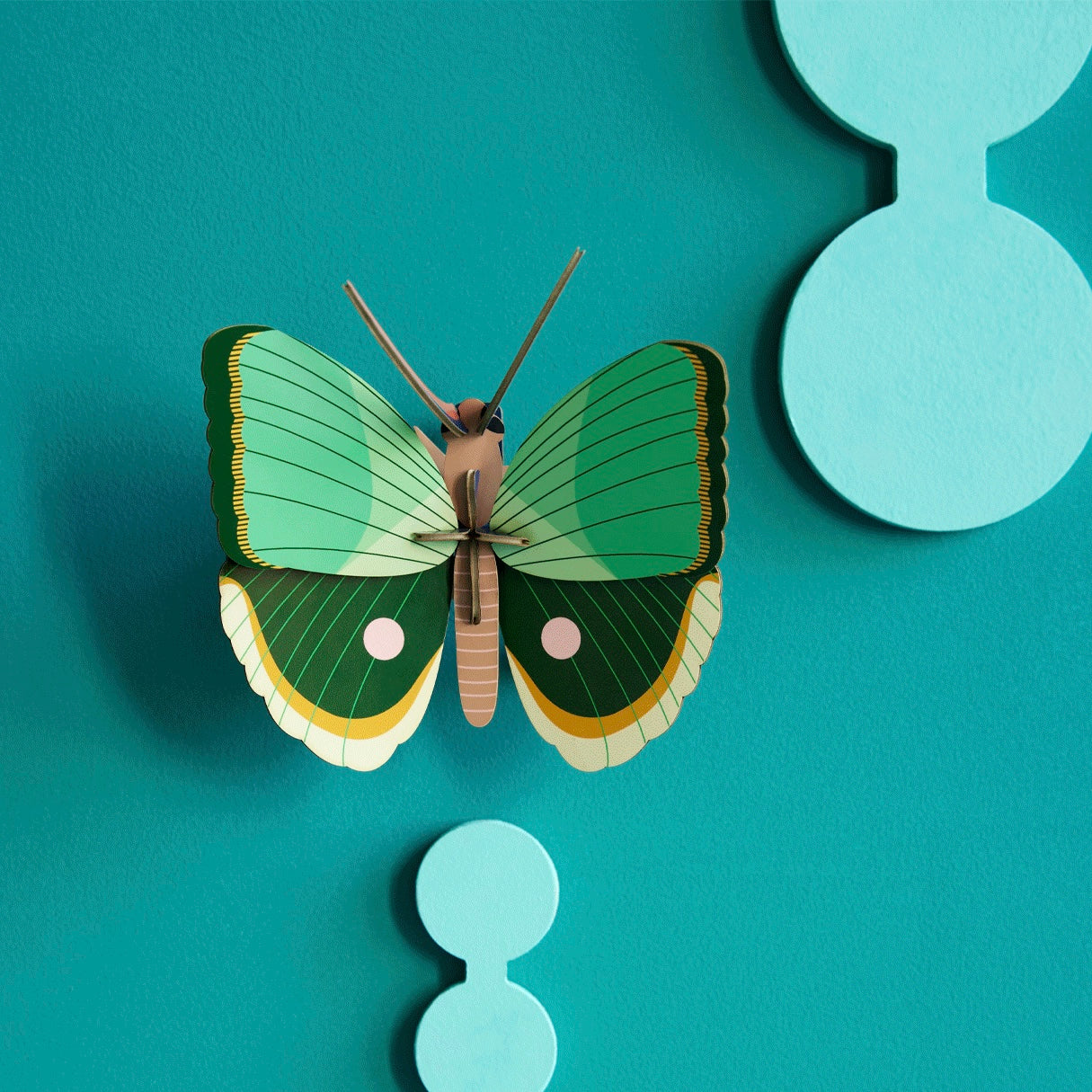 3D Wall Art | Fern Striped Butterfly