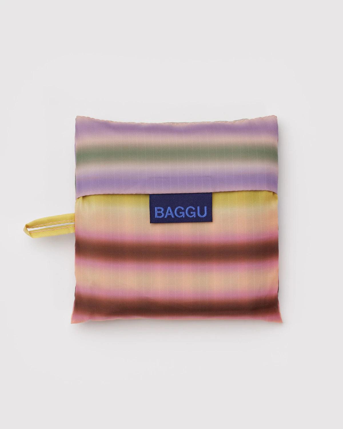 Standard Baggu | Gradient Stripe Multi