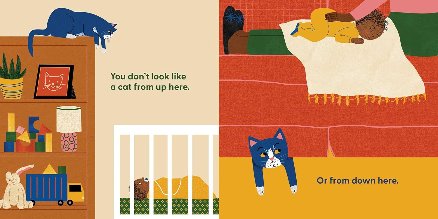 Cat's First Baby | Board Book