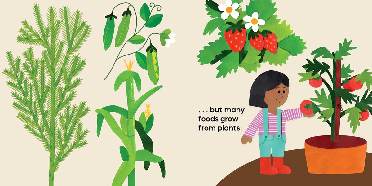 Our Food Grows