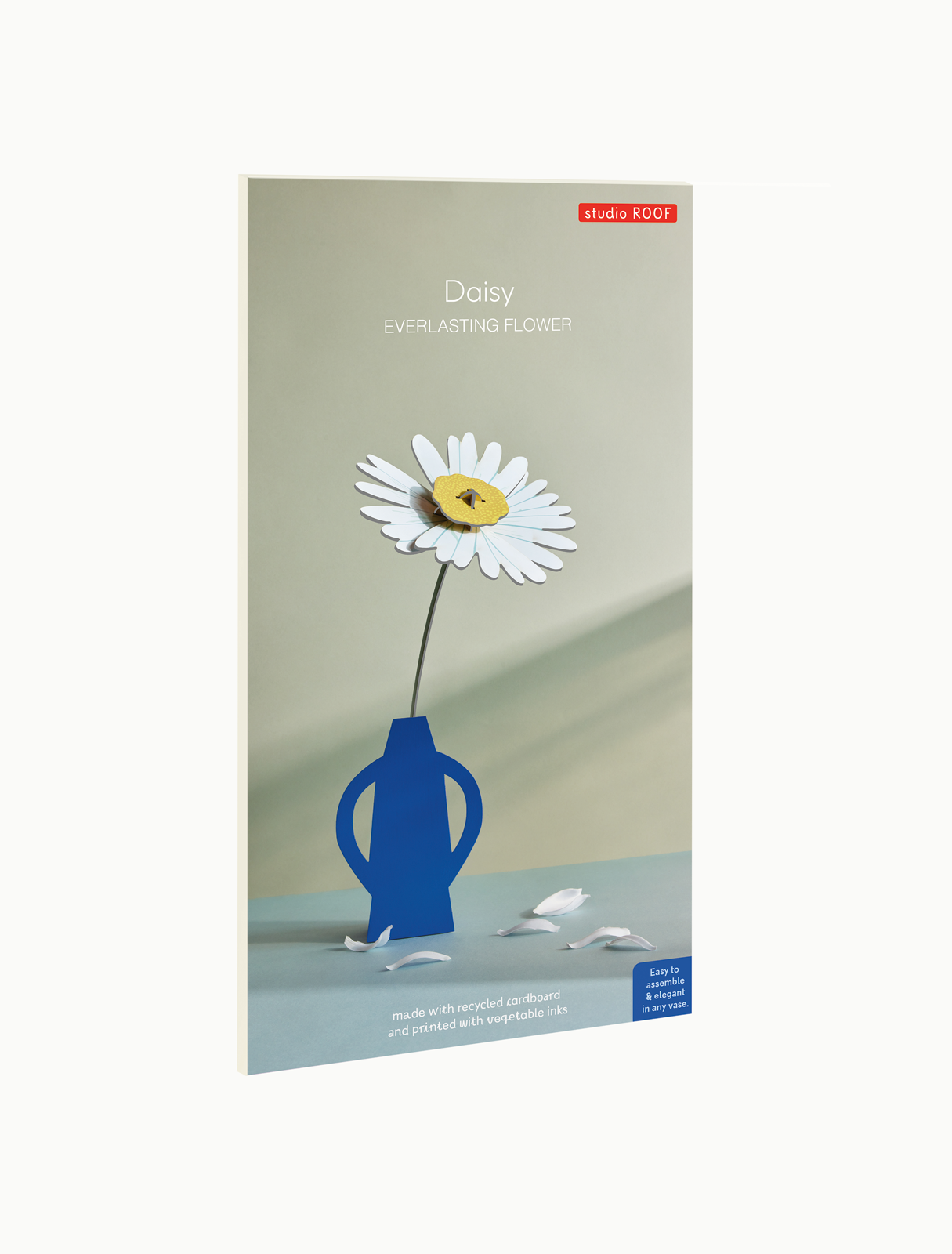 3D Flower | Daisy
