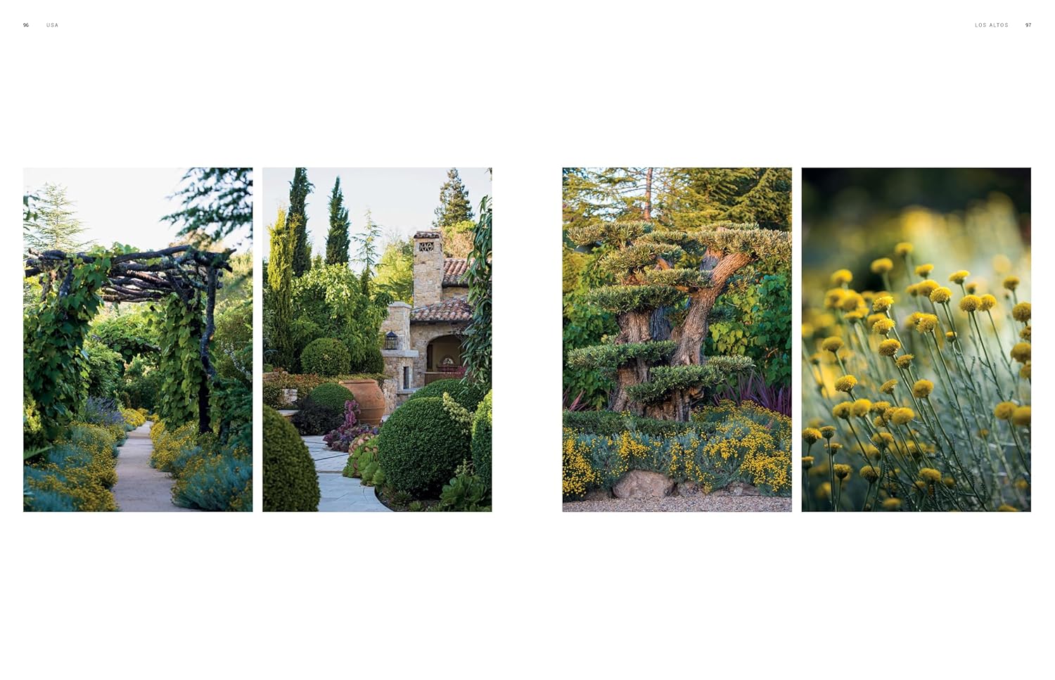 Dreamscapes : Inspiration and Beauty in Gardens Near and Far
