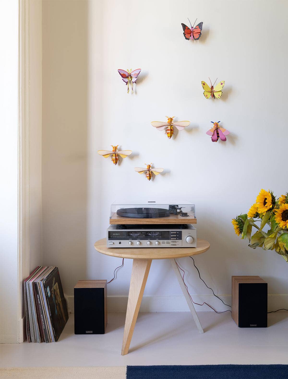 3D Wall Art | Luzerne Butterfly