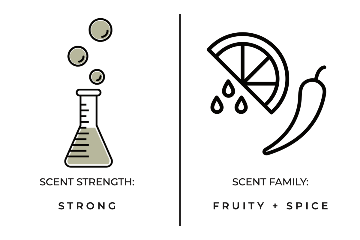 Spiced Mule Mini Candle