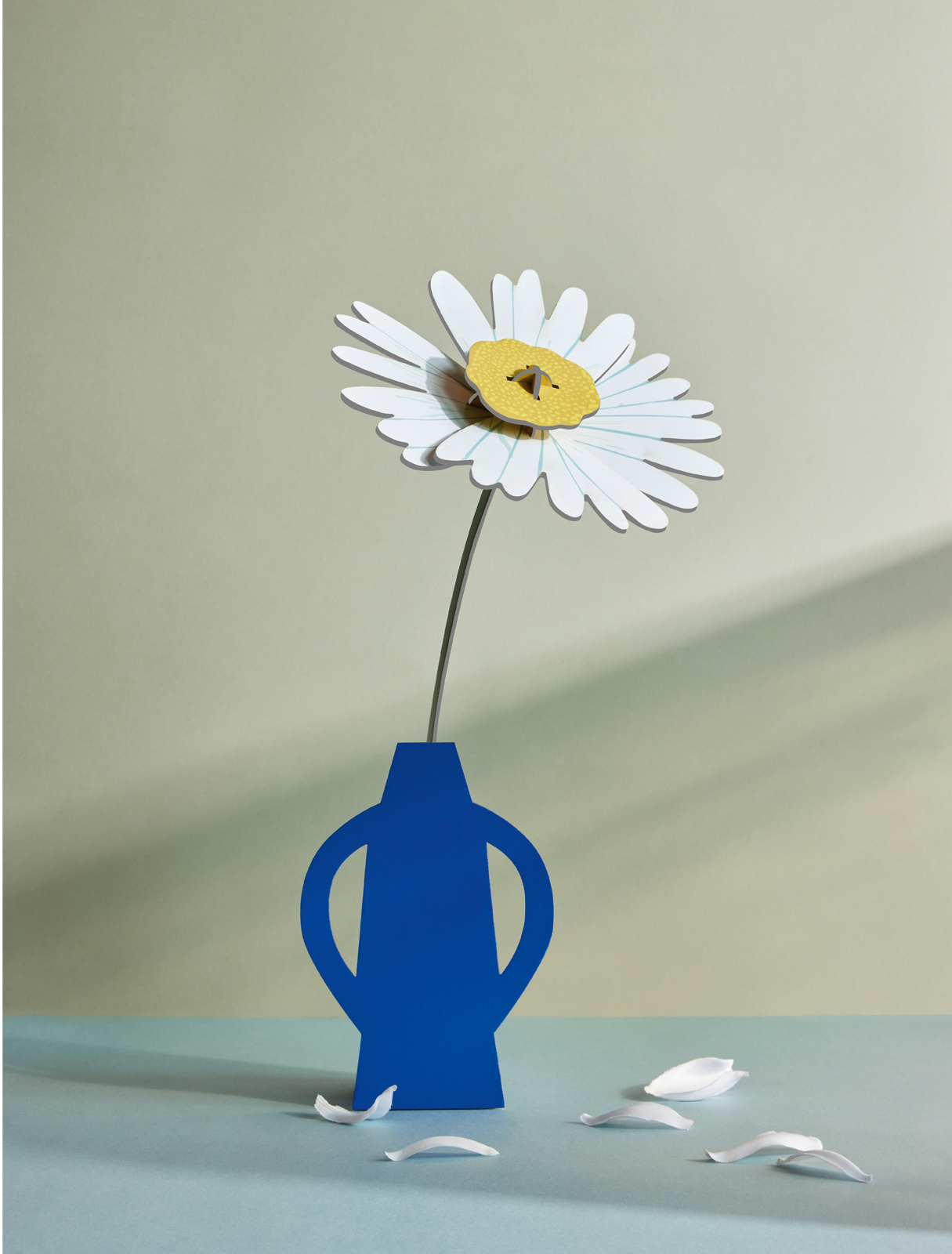 3D Flower | Daisy