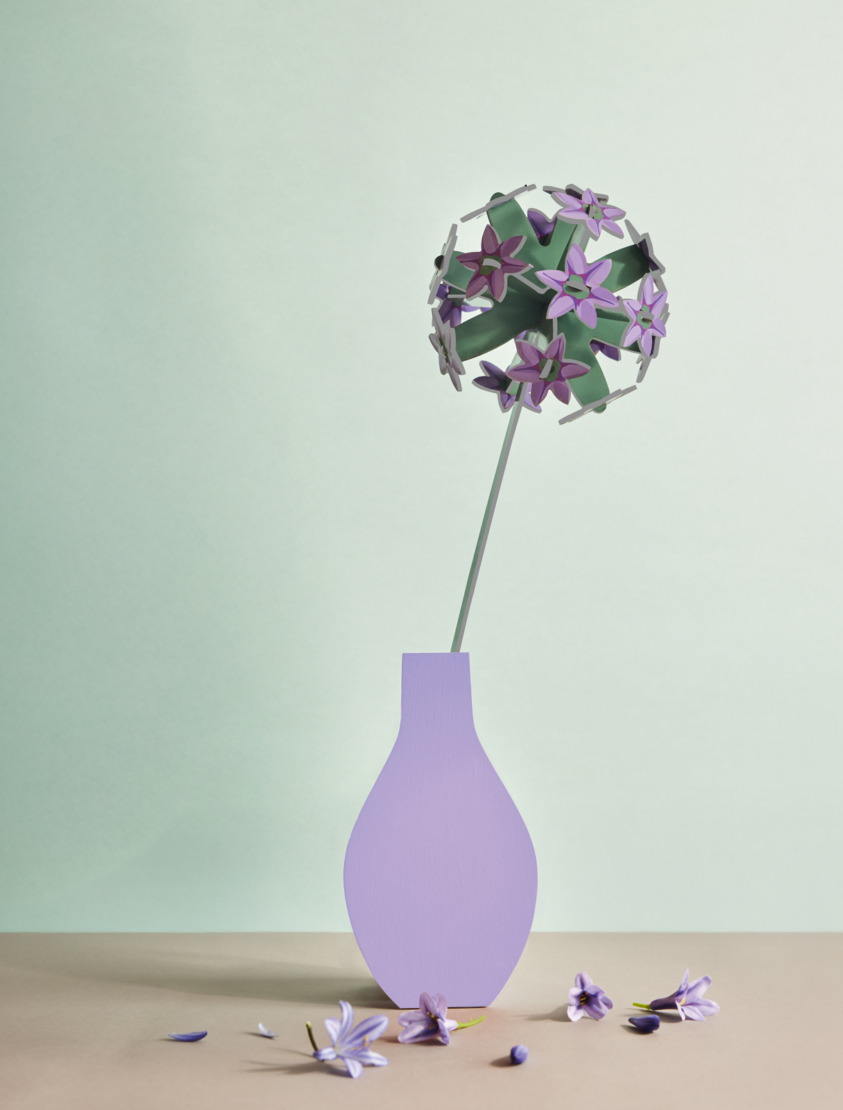 3D Flower | Allium