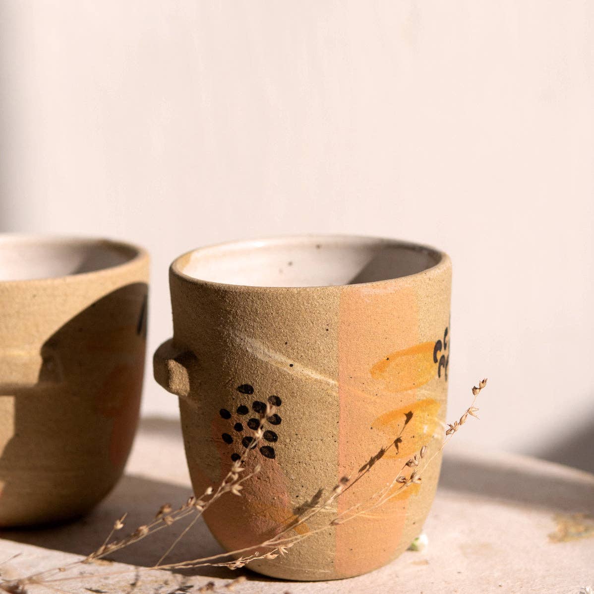 Painted Ledge Cup