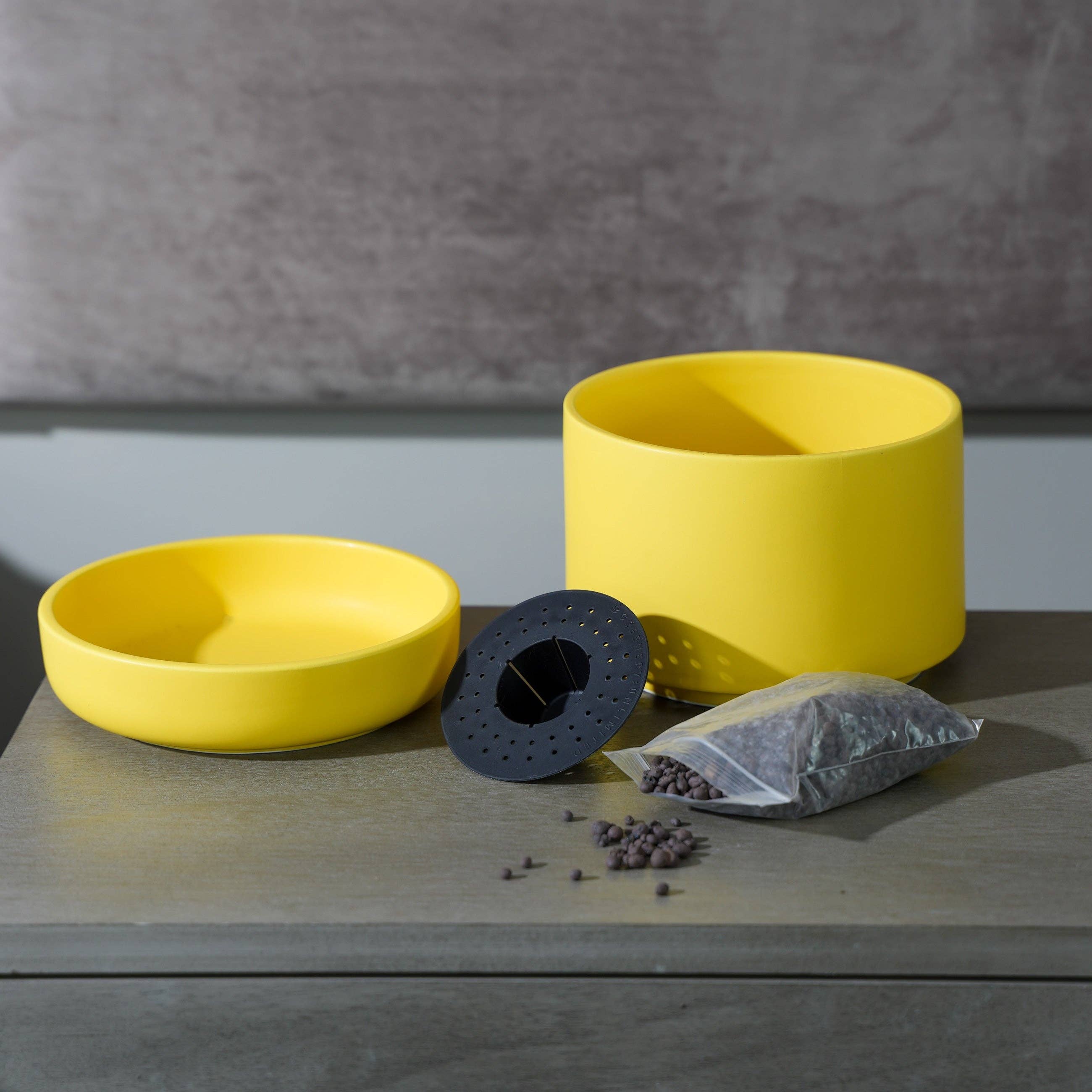 Franklin Ceramic Self Watering Pot: Canary