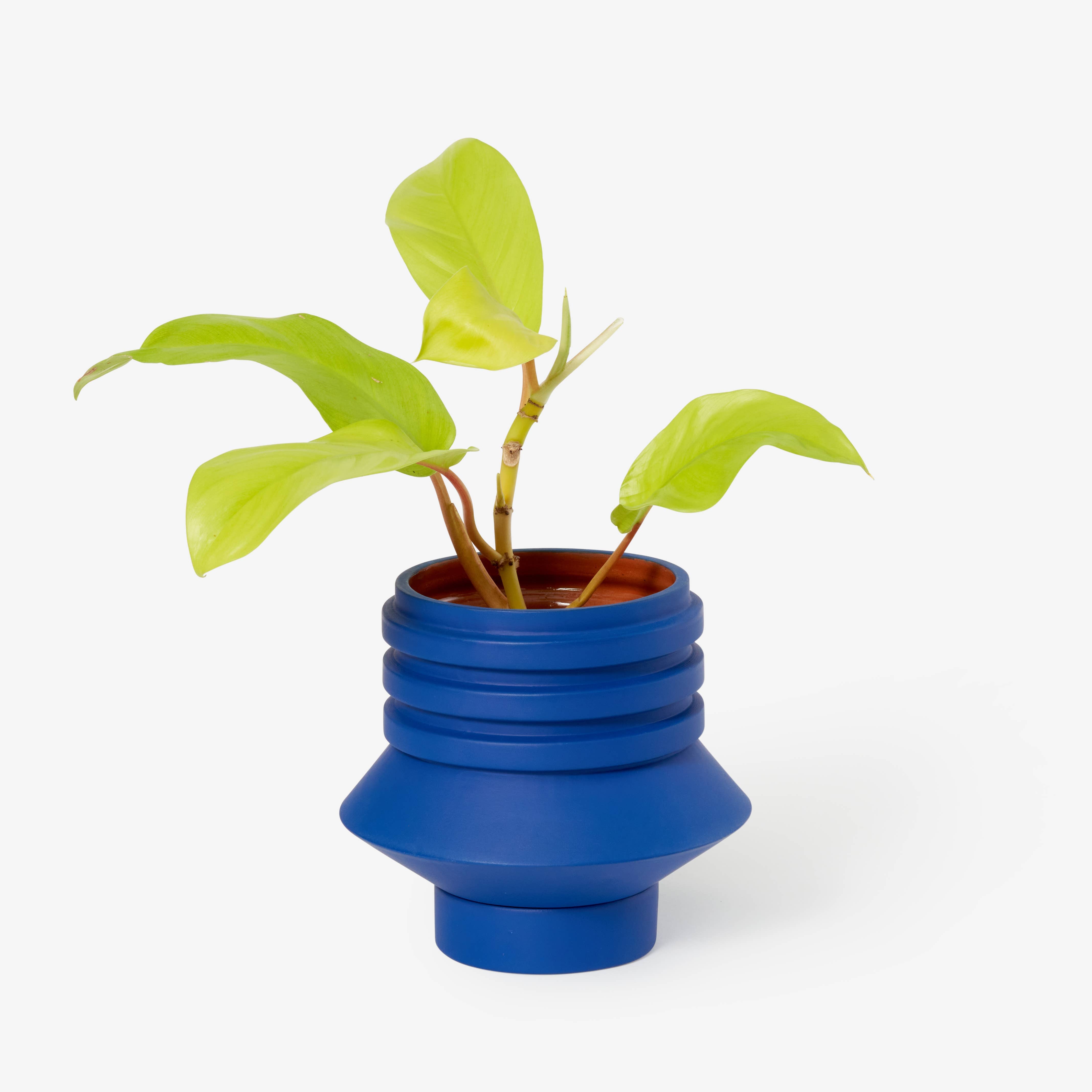Strata Plant Vessel