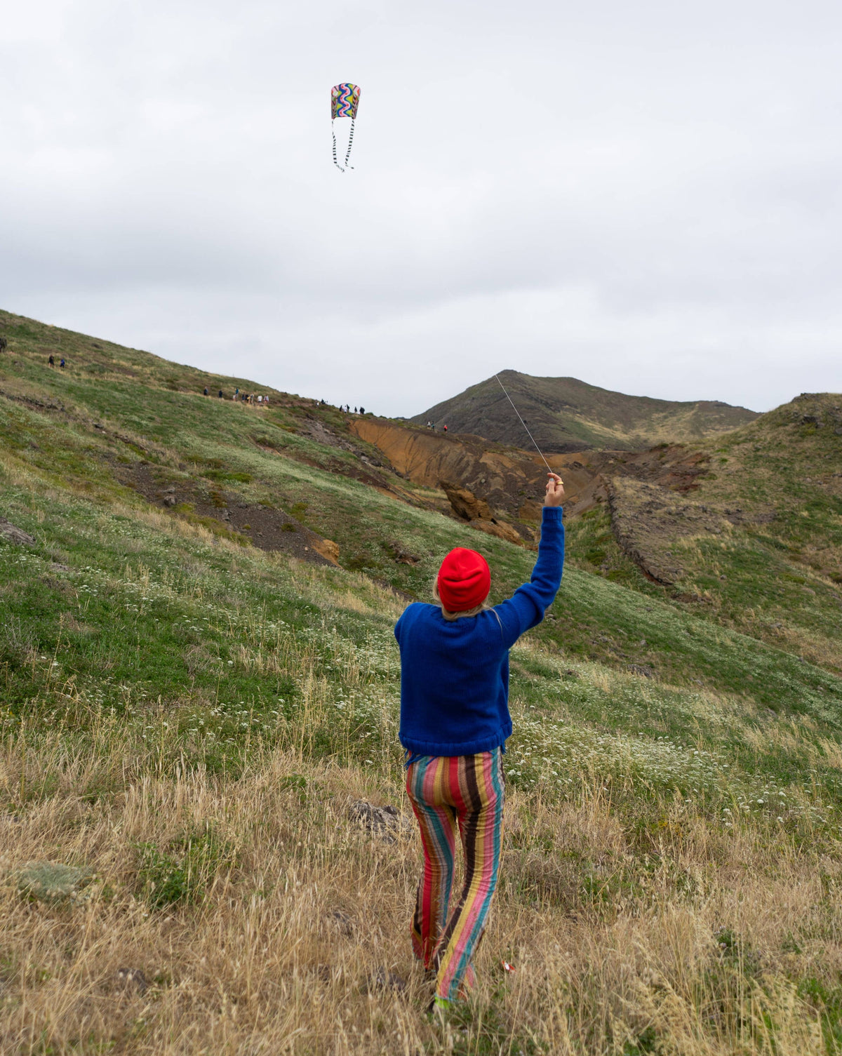Pocket Kite