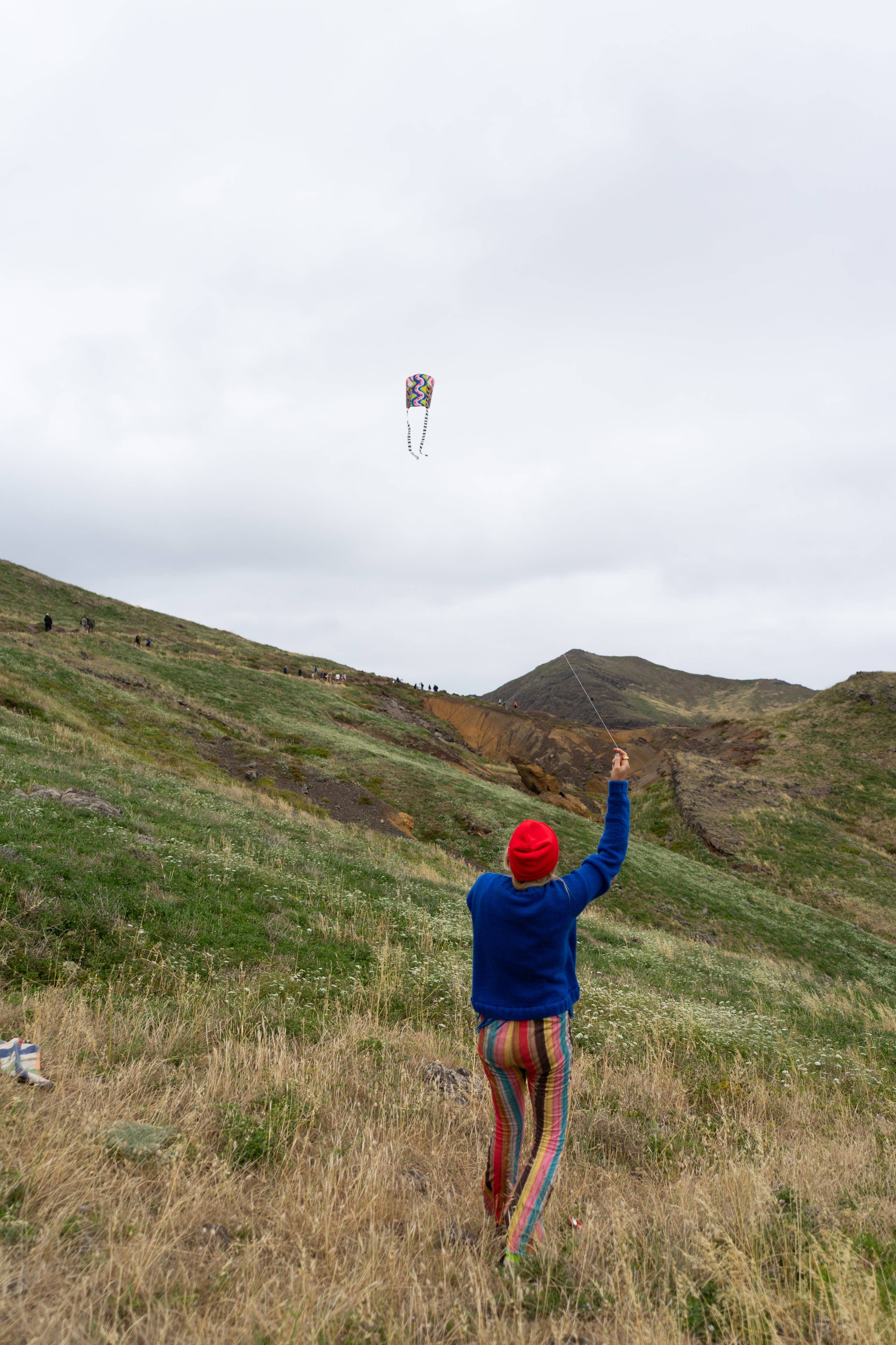 Pocket Kite