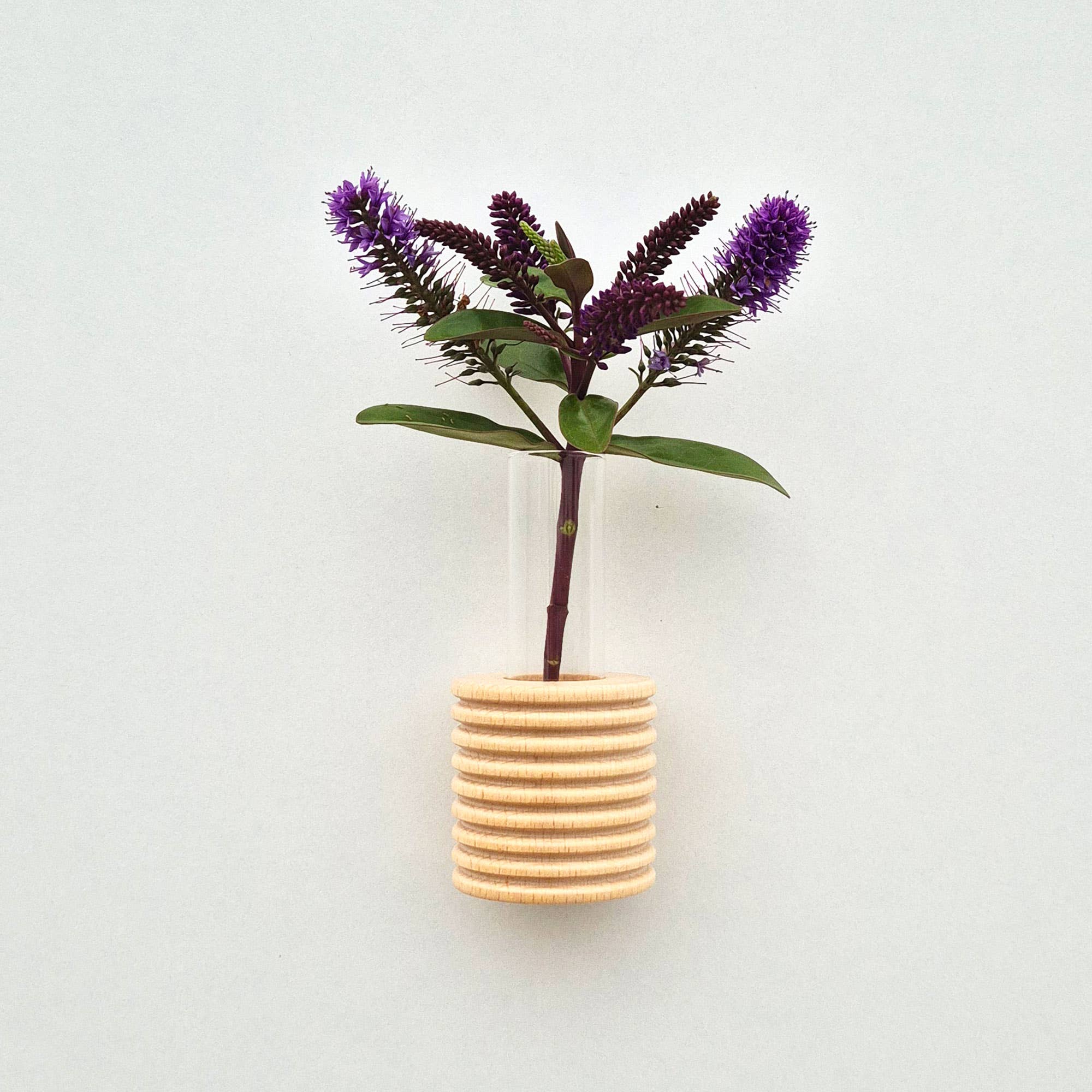 Ribble Wall Vase | Natural Wood