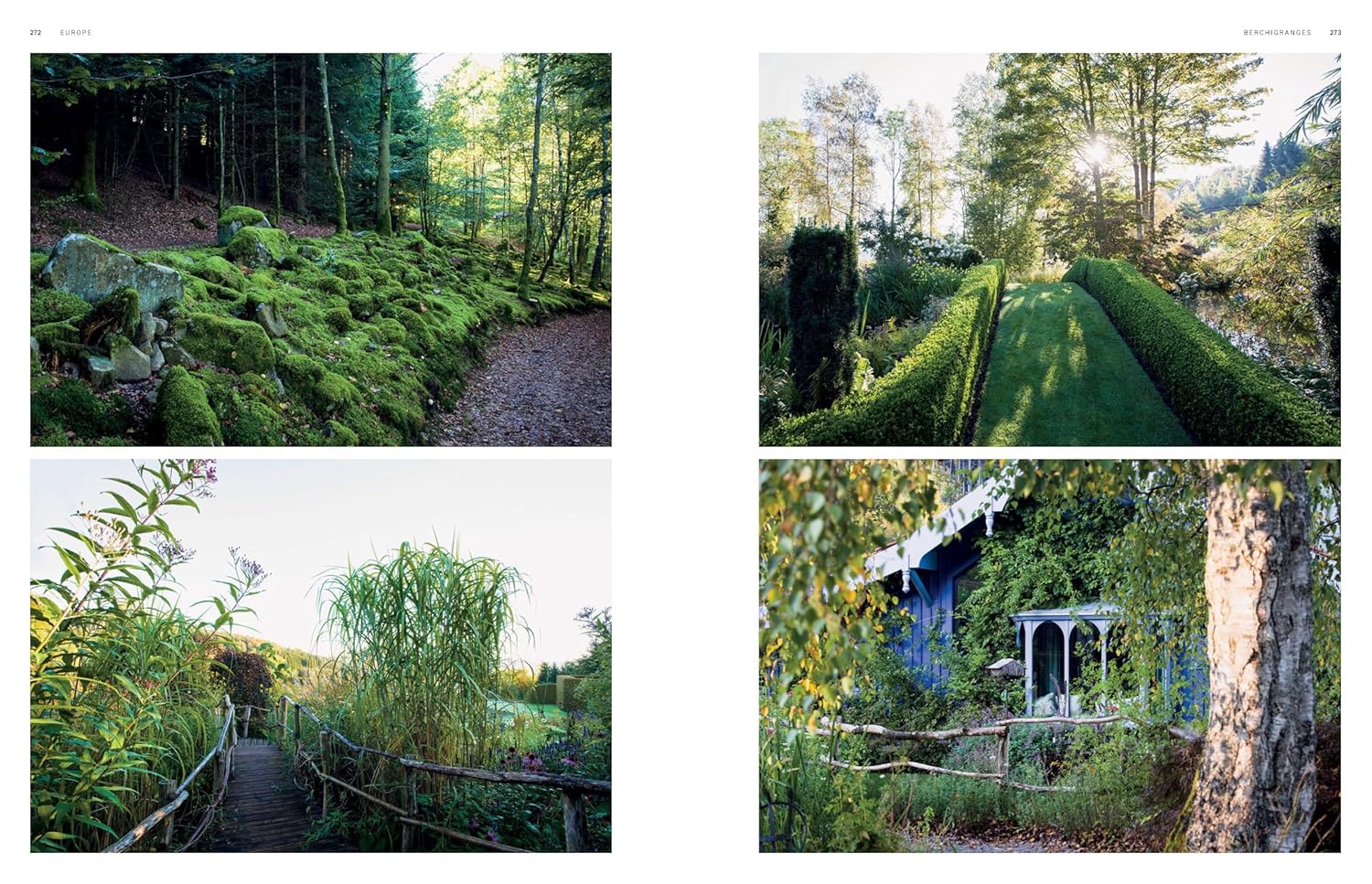Dreamscapes : Inspiration and Beauty in Gardens Near and Far