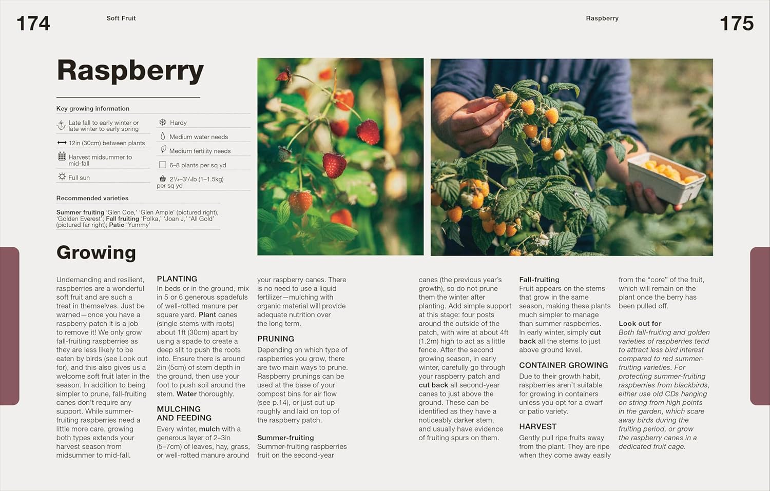 How to Grow Food | Cookbook