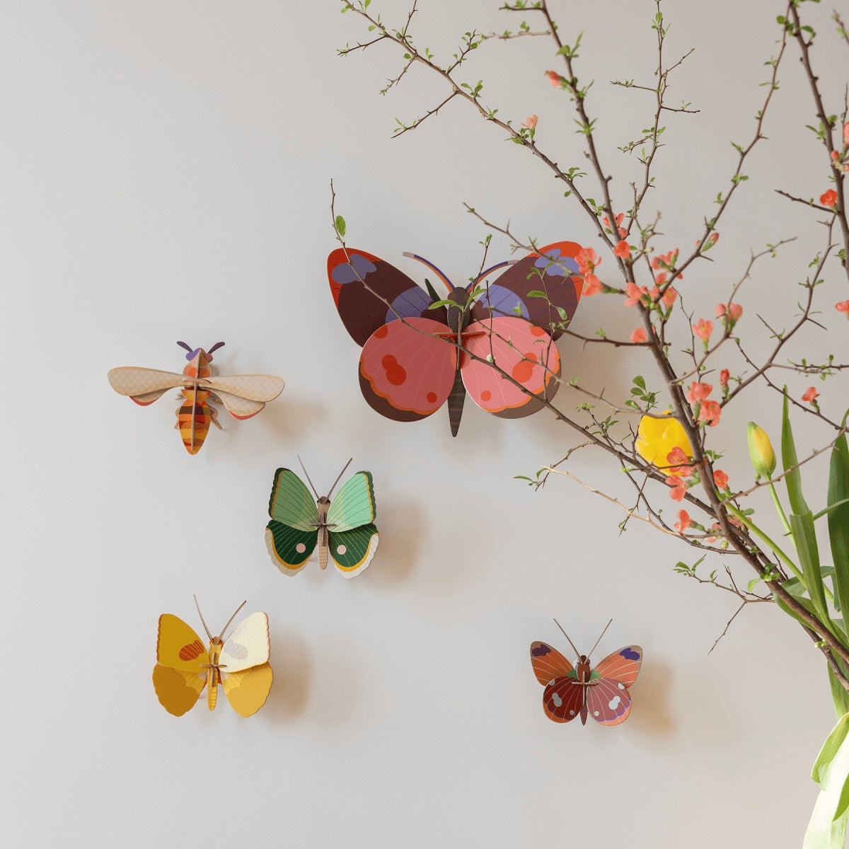 3D Wall Art | Fern Striped Butterfly