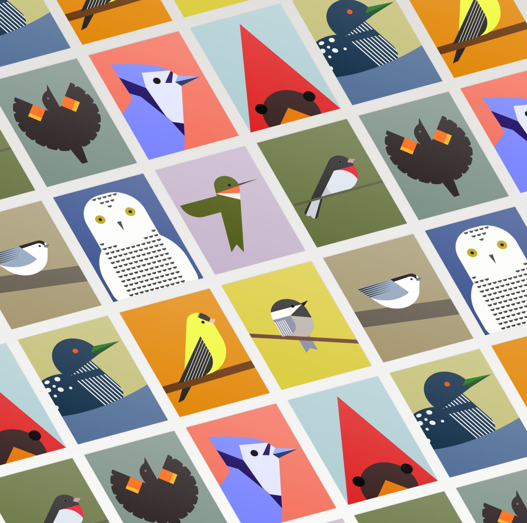 Birds! 10 Card Set