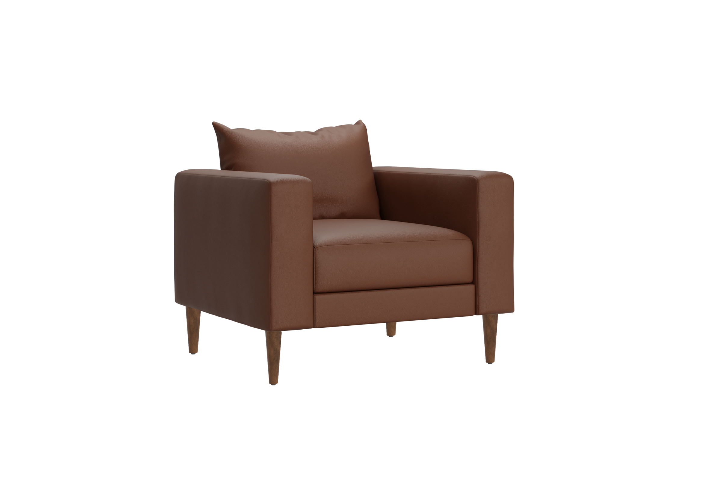 The Essential Club Chair | Cactus Leather