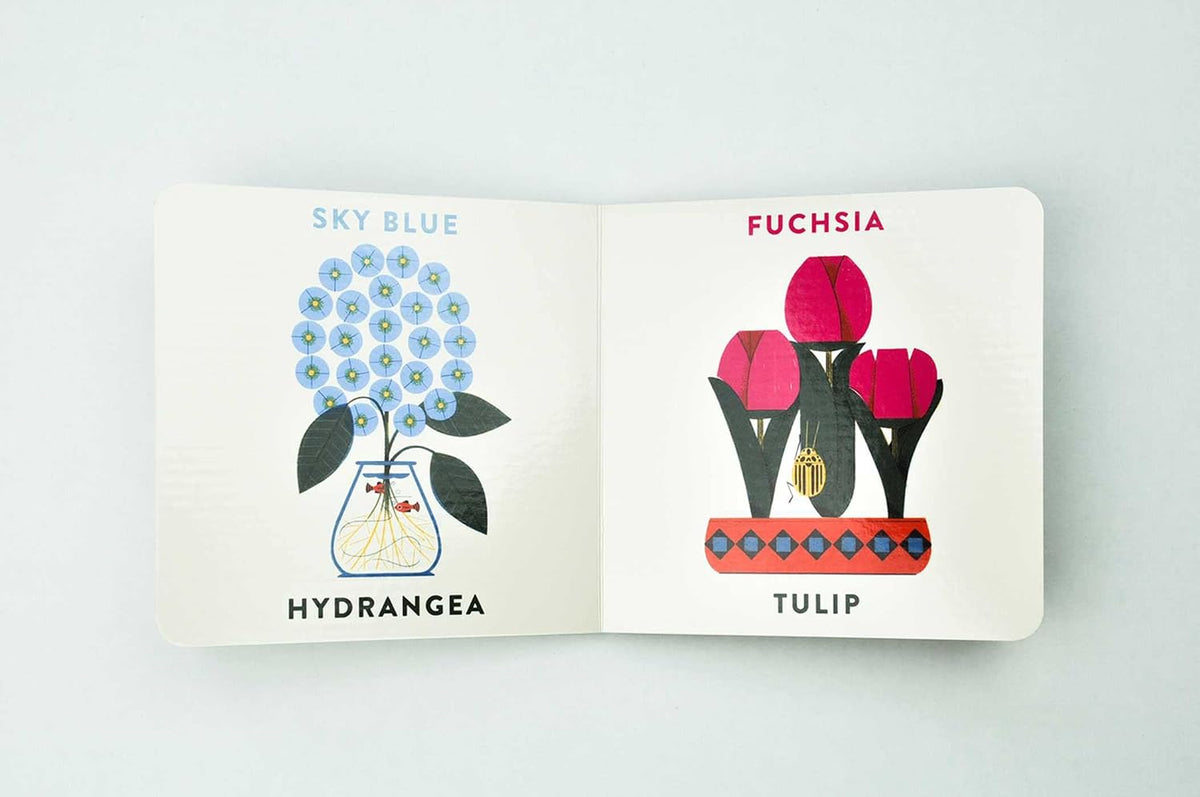 Colors in the Garden | Board Book