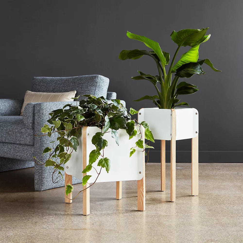 Atrium Planter Hi