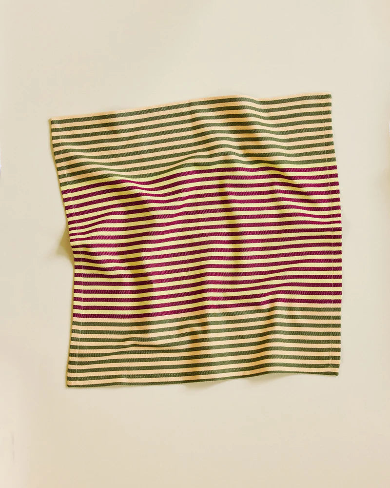 Duo Stripe Napkins | Mixed Set