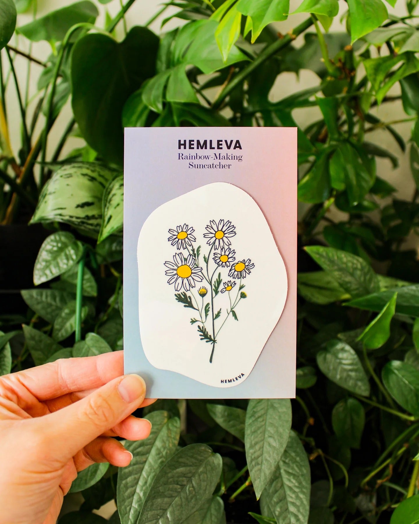 Daisy Rainbow Suncatcher
