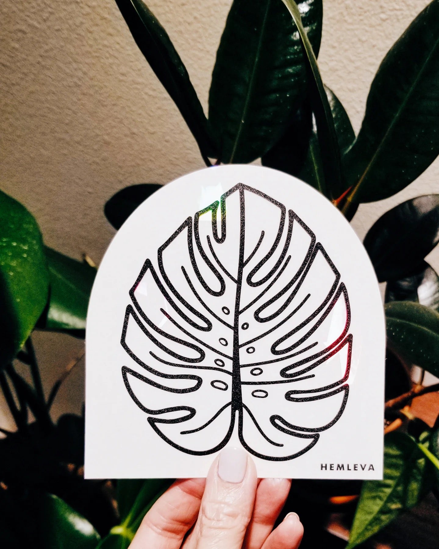 Monstera Rainbow Suncatcher