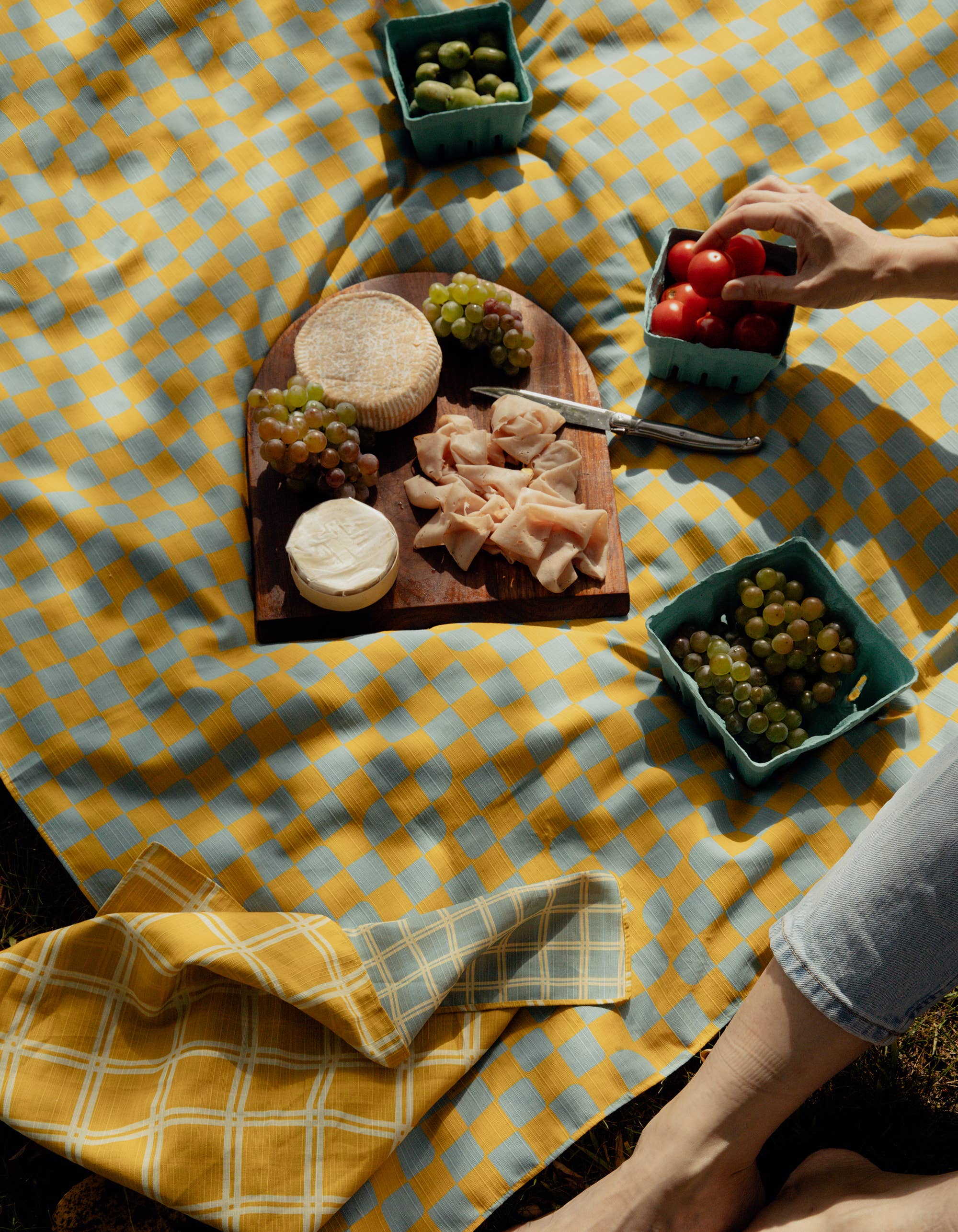 Tablecloth Reversible Checker