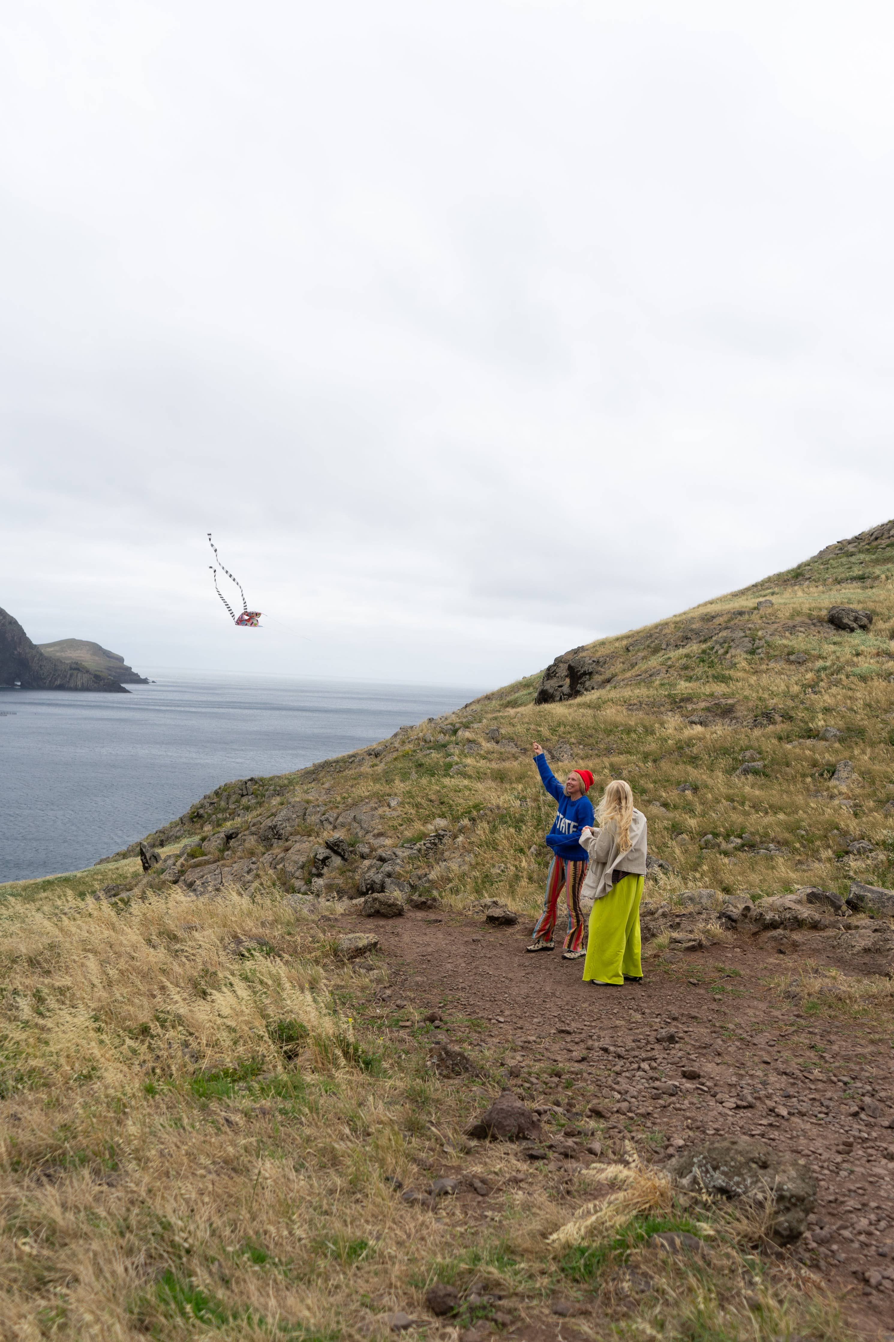 Pocket Kite