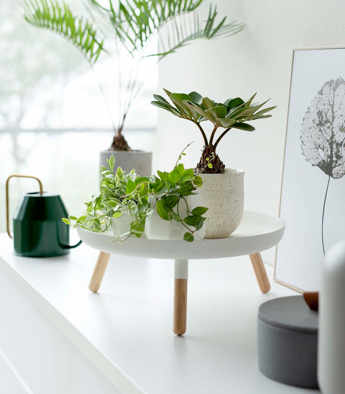 Countertop Pedestal Tray