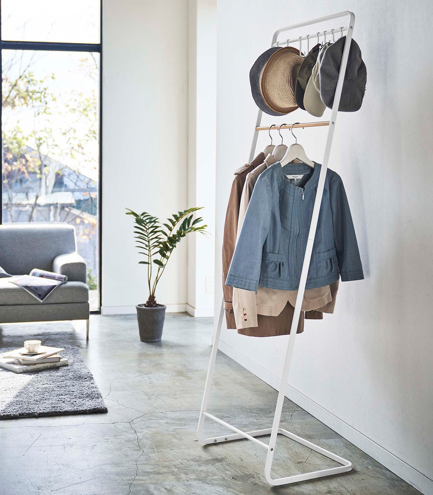 Coat Rack with Hat Storage