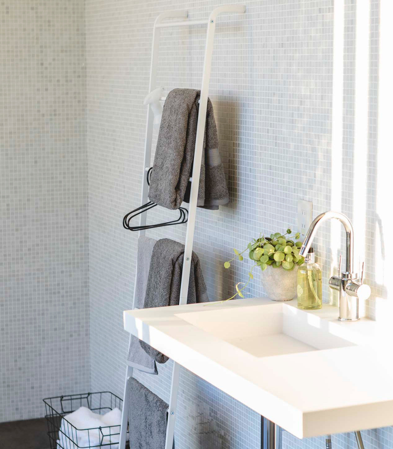 Leaning Storage Ladder