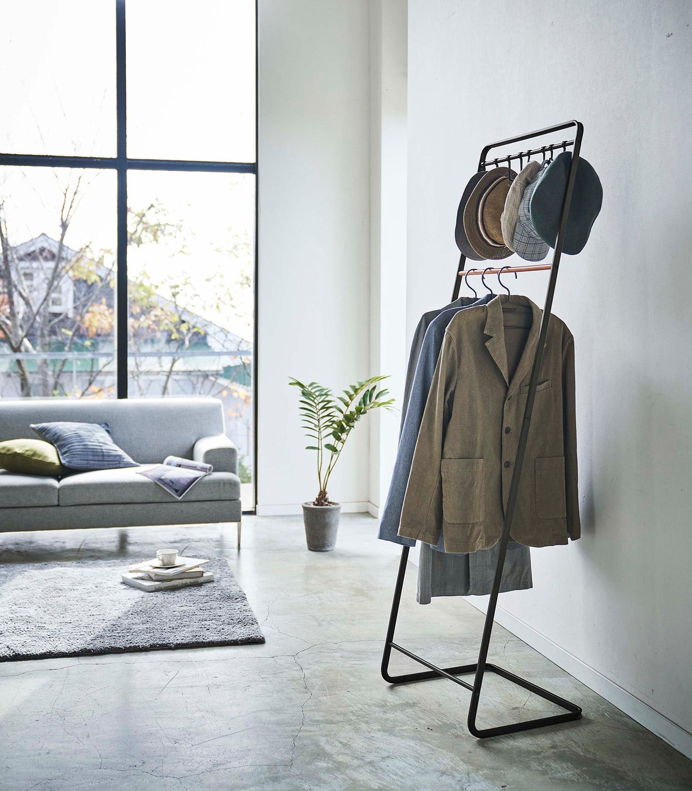 Coat Rack with Hat Storage