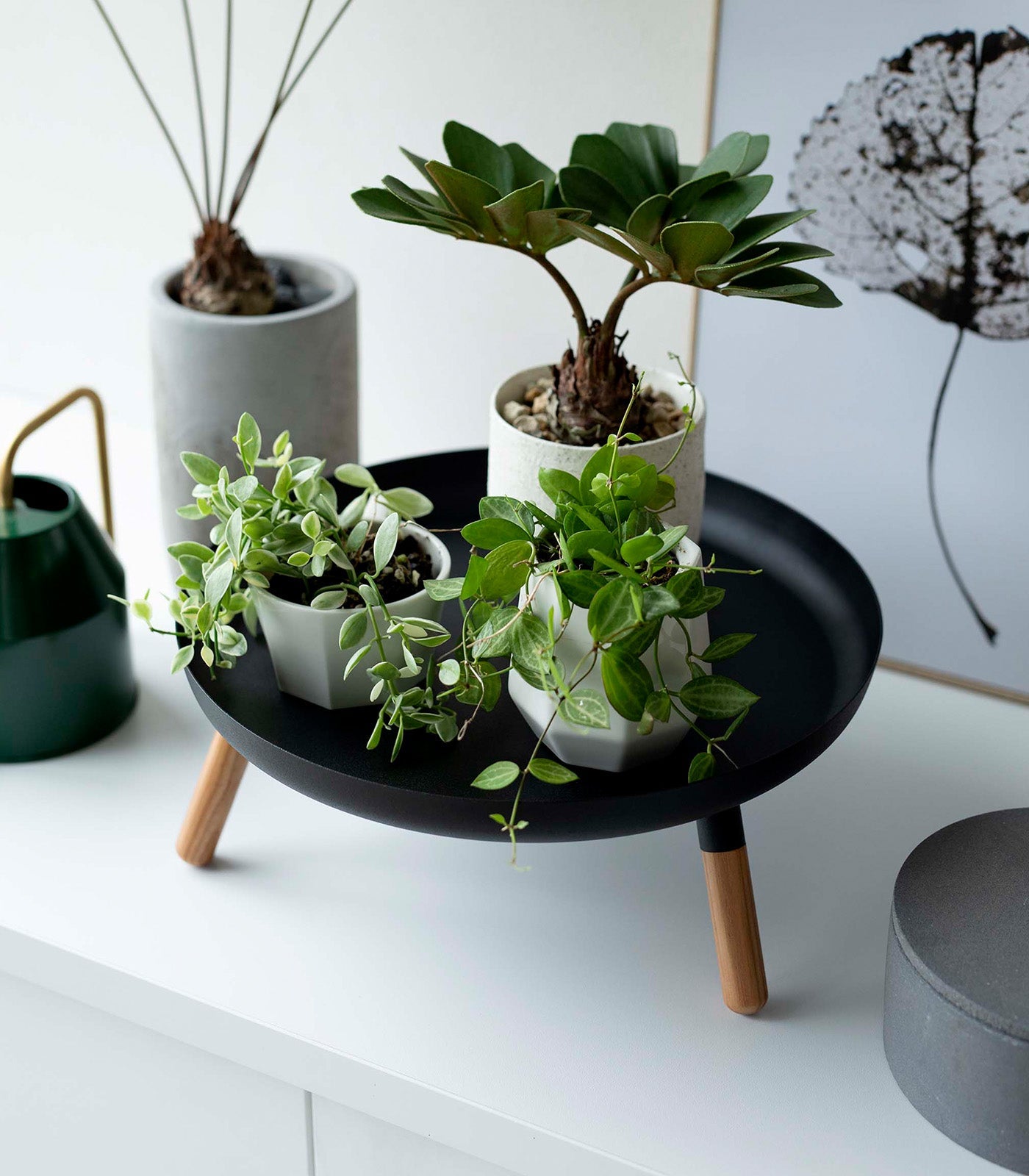 Countertop Pedestal Tray